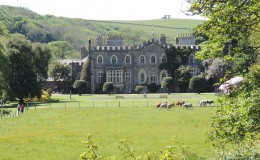 Abbey and cows