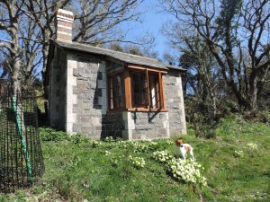 Rosie at The Summerhouse