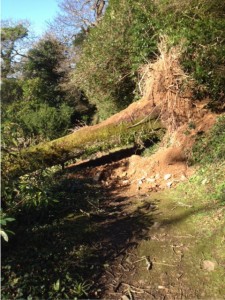 Ladies Walk after Storm Imogen