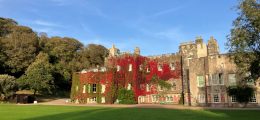 West H Abbey Boston Ivy Sept 23