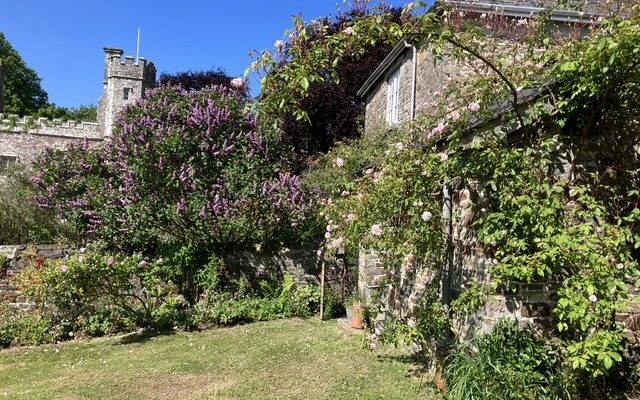 Affeton Barton garden 25