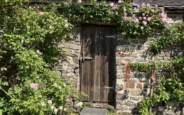 Affeton Barton shed 25